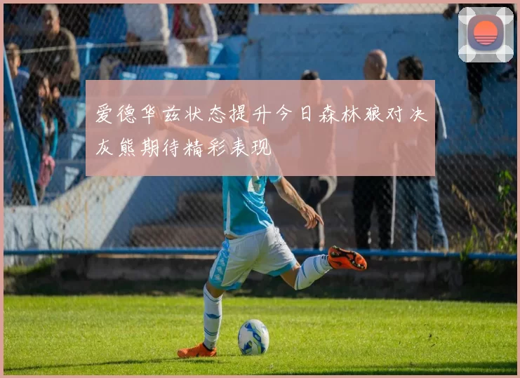 爱德华兹状态提升今日森林狼对决灰熊期待精彩表现