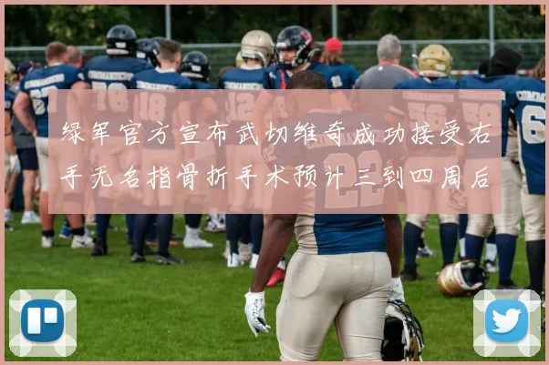 绿军官方宣布武切维奇成功接受右手无名指骨折手术预计三到四周后复查