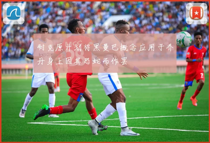 耐克原计划将黑曼巴概念应用于乔丹身上因其恐蛇而作罢